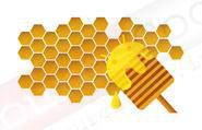 V3.0 Honeycomb